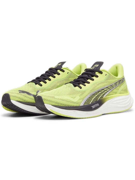 Puma Velocity Nitro 3 Men's Running Sport Shoes Psychedelic Rush