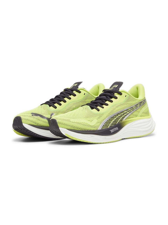 PUMA PUMA