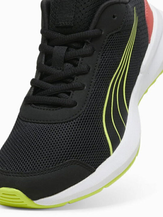 PUMA