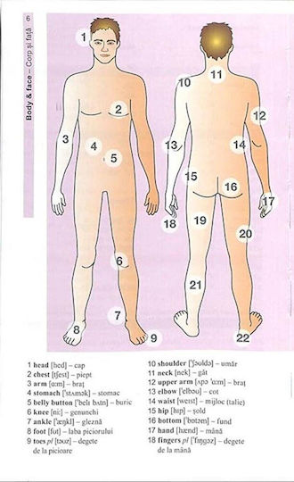 Basic Vocabulary In Pictures English Language