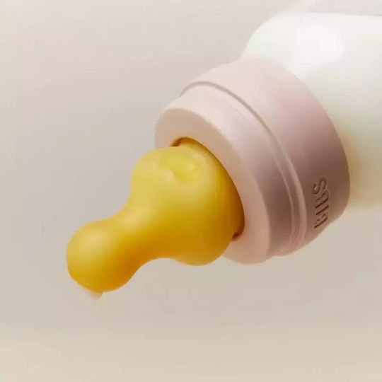 Bibs Rubber Baby Bottle Teats Fast Flow for 4+ months 2pcs