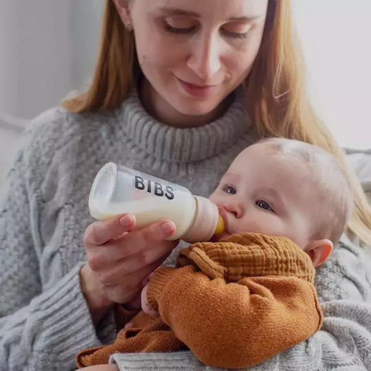 Bibs Rubber Baby Bottle Teats Fast Flow for 4+ months 2pcs