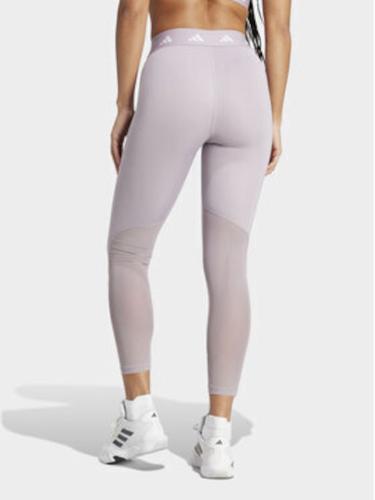 Adidas Women's Training Legging purple