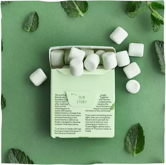 True Gum Τσίχλες Χωρίς Προσθήκη Ζάχαρης 21gr