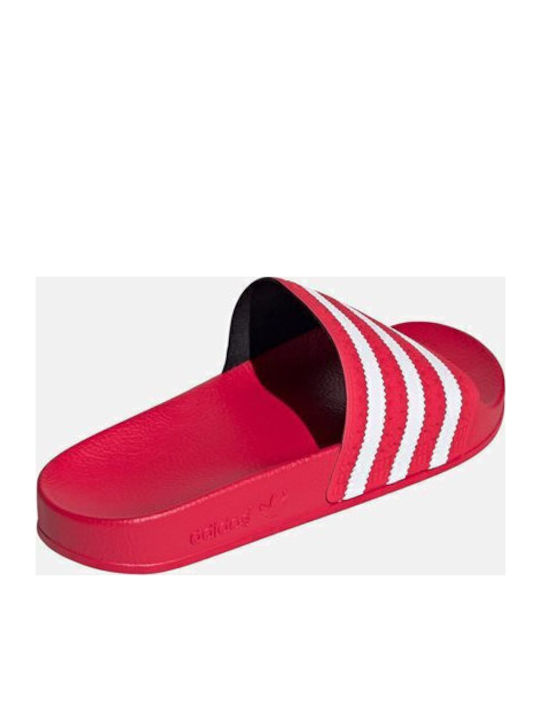 Adilette Herren Slides Rosa