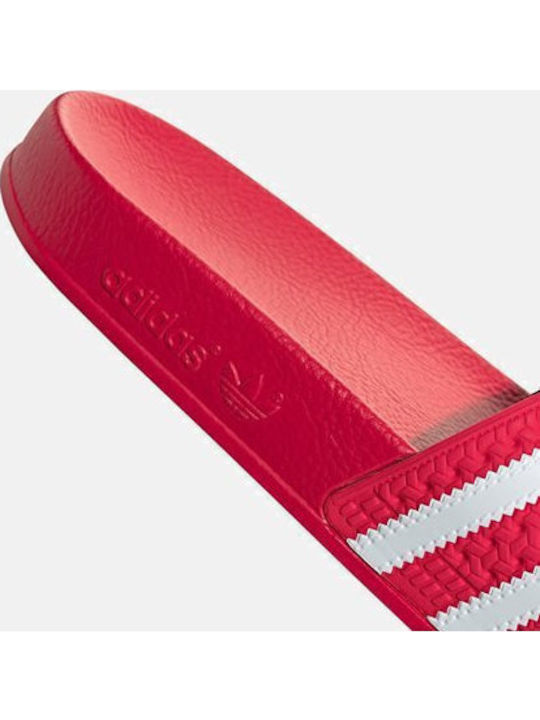 Adilette Herren Slides Rosa