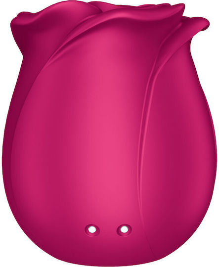 Satisfyer Pro 2 Classic Blossom Αναρροφητής Αιδοίου με Δόνηση Ροζ