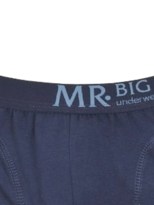 Mr.Big 201 Herren Boxershorts Blau mit Mustern 1Packung