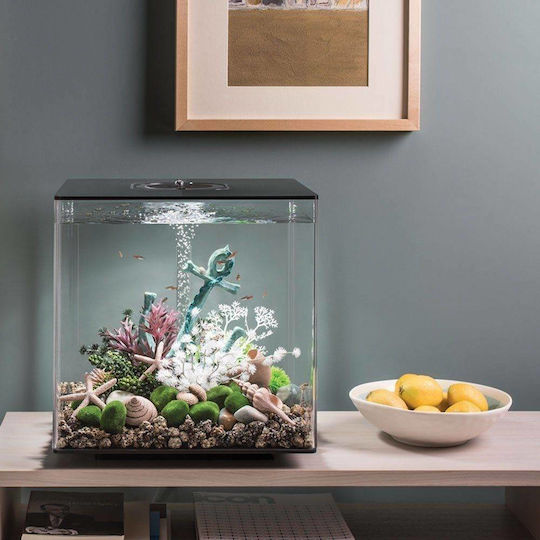 Oase Biorb Cube 30 Mcr Nano-aquarium Set Ενυδρείο Ψαριών Χωρητικότητας 30lt με Φωτισμό, Φίλτρο, 32x32x34εκ. Μαύρο