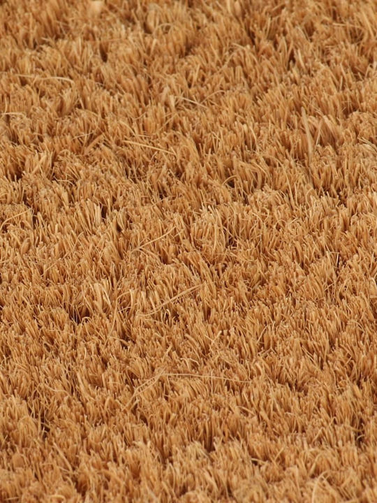vidaXL Entrance Mat made of Coir with Anti-slip Backing Brown 60x90cm