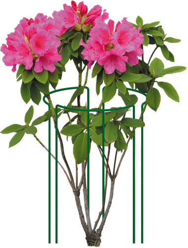 Eldrut Turnuri De Plante Metalice Verzi 75x25cm 3 Bucăți