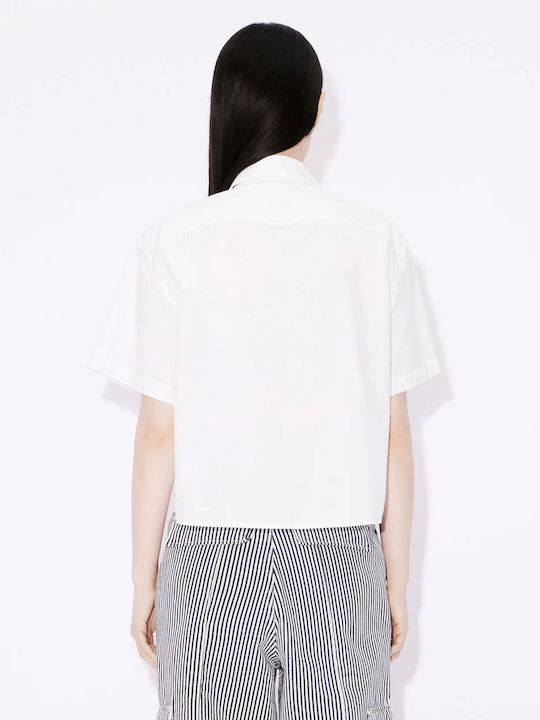 Kenzo Kenzo
