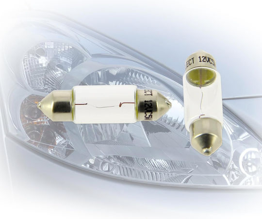 Michelin Lampen Auto C5W Halogen 12V 2Stück