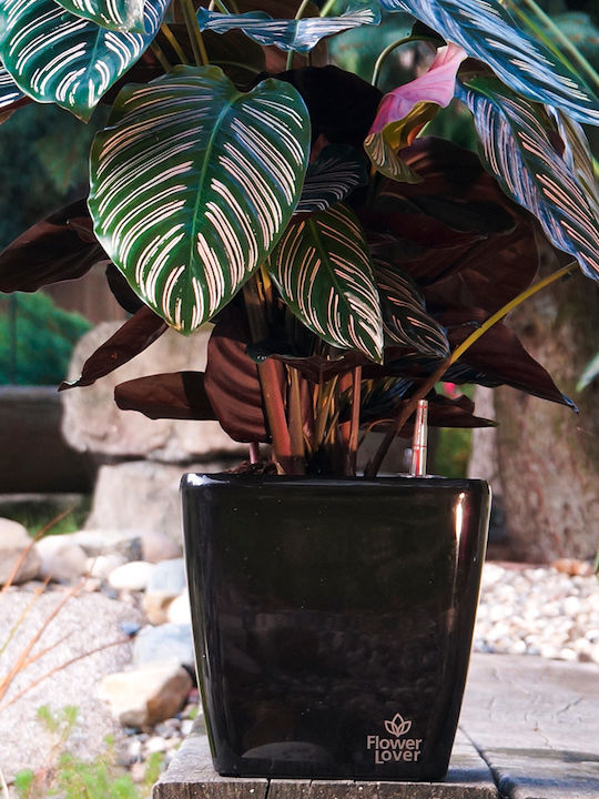Hydrostab Übertopf Rot 25x25x24εκ.