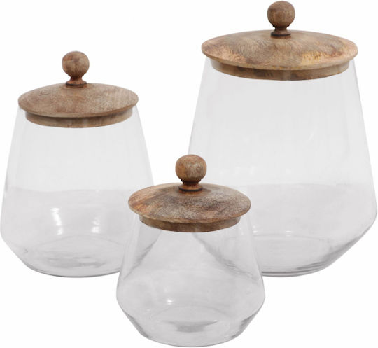 InTheBox Lyre General Use Vase with Lid Glass 1 Piece