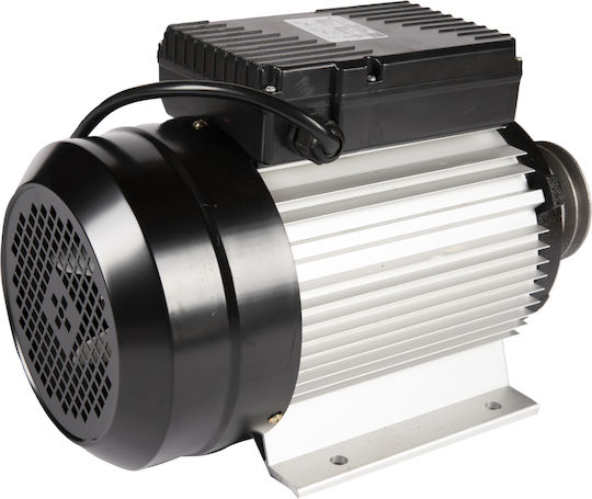 Cu o singură fază Motor electric 4hp Maximă Rotații 2800rpm 220V