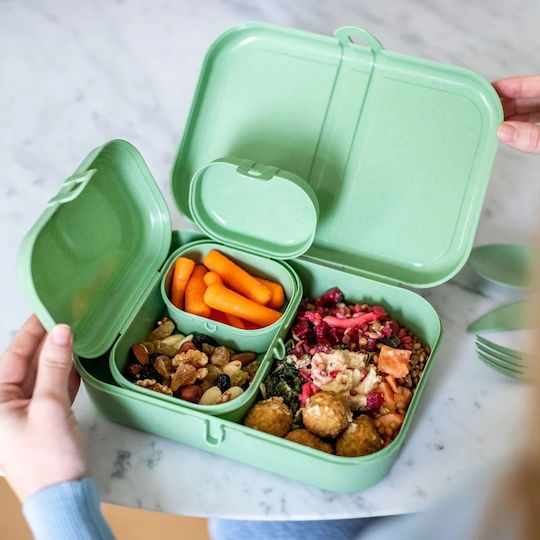 Koziol Plastic Green Lunch Box with Compartments 23.2x16.6cm