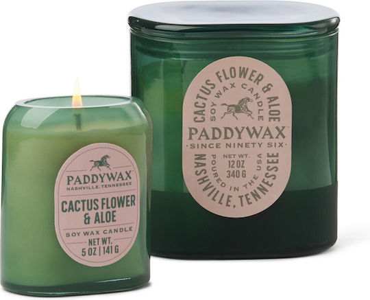 Paddywax Ароматично Буркан Цвят На Кактус И Алое Paddywax Ароматично Буркан Цвят На Кактус И Алое