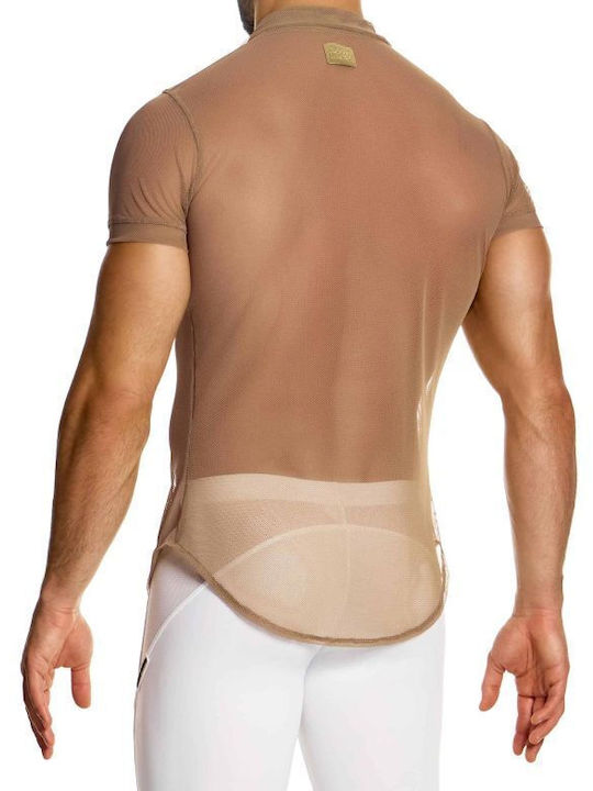 Modus Vivendi