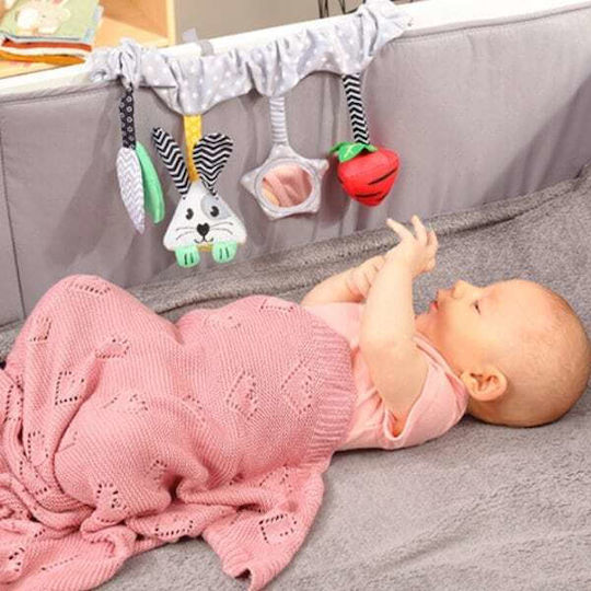 Babyono Chain with Mirror for 0++ Months BN798