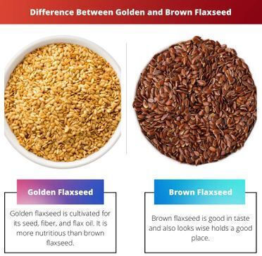 Panora Linseed 1000gr