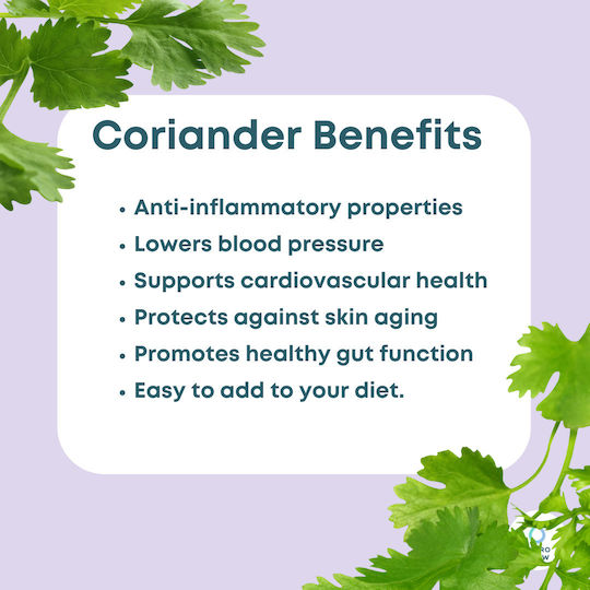 Coriander 90034-500 500gr