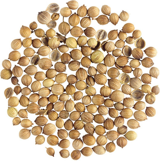 Coriander 90034-500 500gr