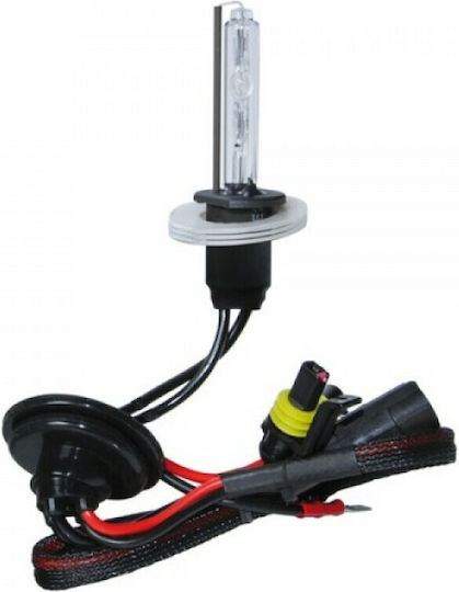 Xenon Сет за Осветление H1 35W 12V 6000К Хладно бяло