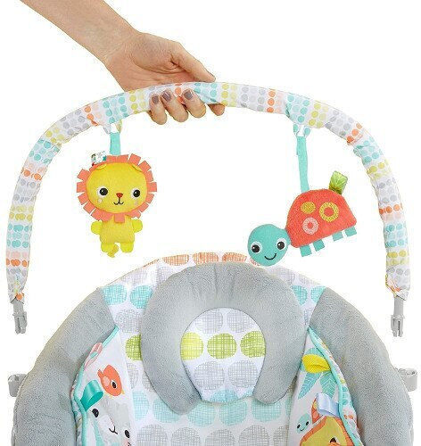 Bright Starts Elektrisch Baby Relax Whimsical Wild mit Musik und Vibration Mehrfarbig