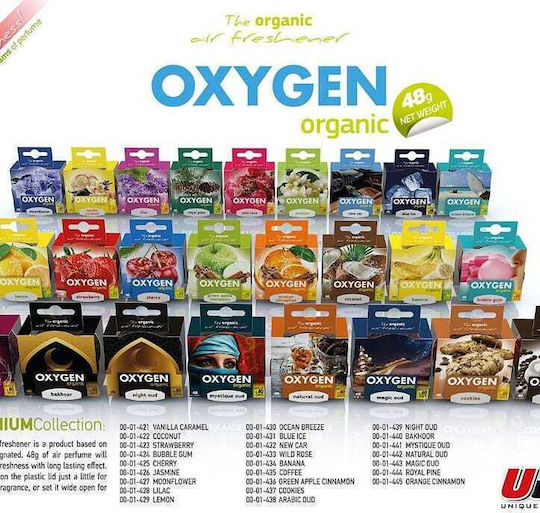 Ucare Car Air Freshener Can Console/Dashboard 48gr 2pcs