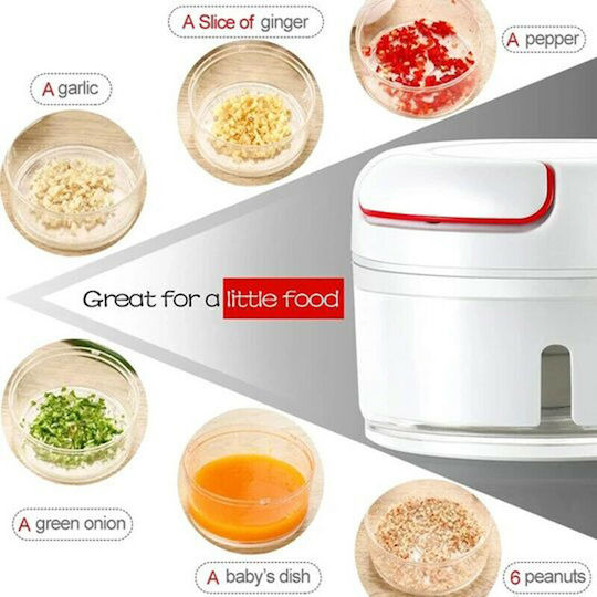 Intelligent Garlic SN01 Knoblauchpresse Kunststoff