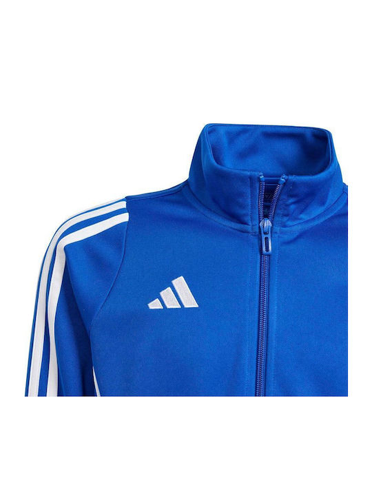 adidas adidas