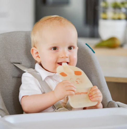 Babymoov Калъф За Храна Многоцветен От Пластмаса За 4+ Месечна Възраст