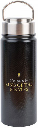 Grupo Erik Kids Water Bottle Stainless Steel with Screw Cap Non Spill Black 550ml