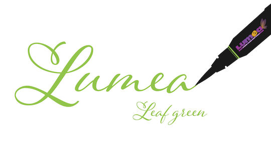 Lumea Colorant pentru Cofetărie în Formă Lichidă Verde 1buc Stilou