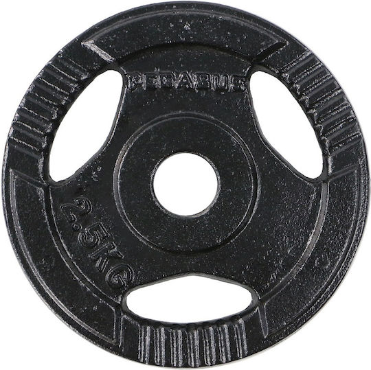 Pegasus Set of Plates Metal 1 x 2.5kg Ø29mm with Handles