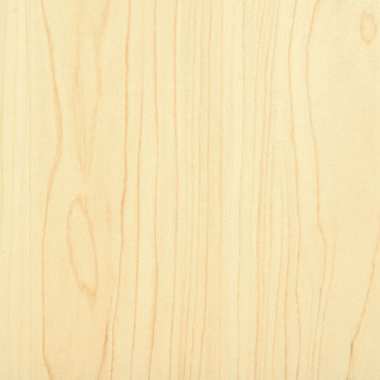 HomCom Επιδαπέδια Θήκη 204 CD 21x20x175cm