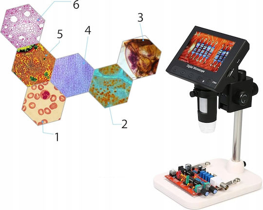 Rosfix Digital Microscop 1000x
