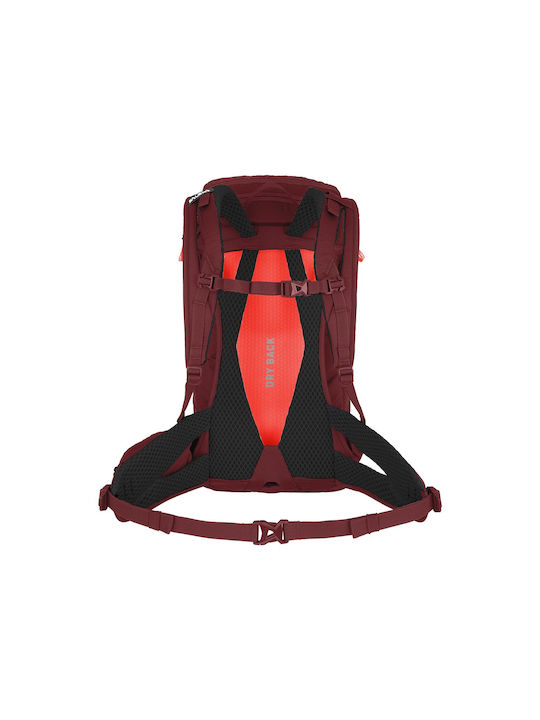 Salewa Alp Trainer Rucsac de alpinism 20lt