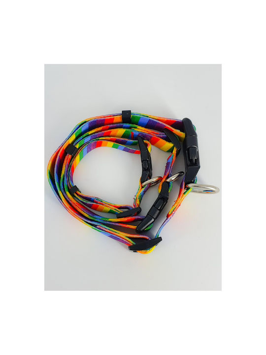 Hundehalsband Klein