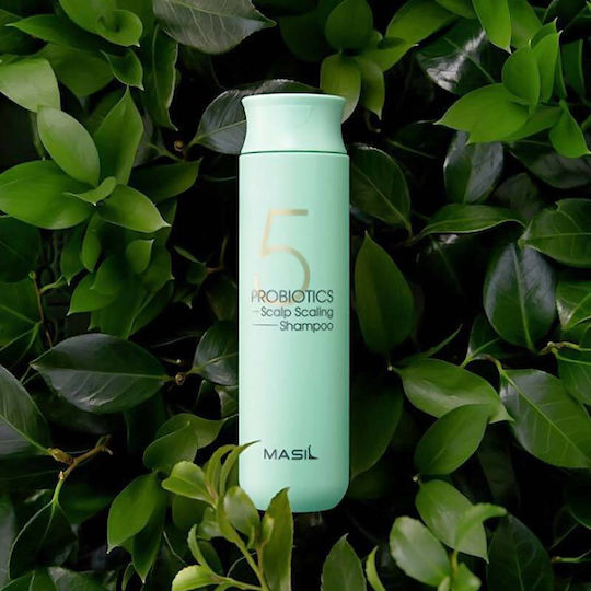 Masil 5 Probiotics Scalp Scaling Shampoo Προβιοτικό Σαμπουάν Για Βαθύ Καθαρισμό Χωρίς Θειικά Άλατα 300ml