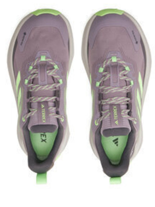 Adidas Terrex Trailmaker 2 Gtx Women's Hiking Shoes Waterproof with Gore-Tex Membrane Purple