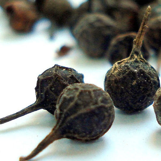Cubeb Pepper Indonesia 10 Gr