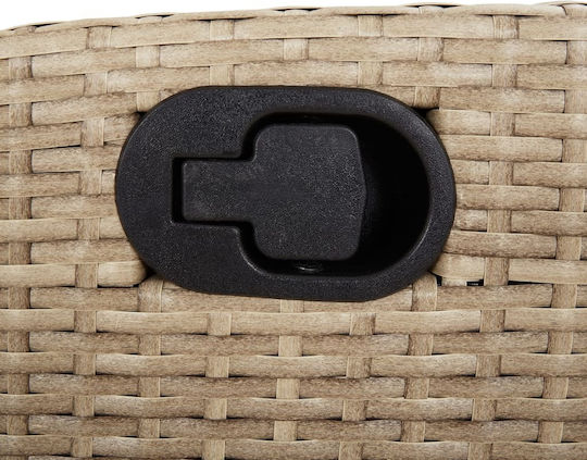 Scaun de exterior Rattan Bej cu pernă 2buc