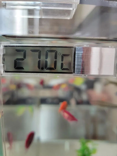 Aquarium Thermometer Aquarium Suction Cup Battery Outdoor Terrarium