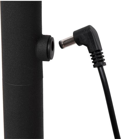 Lucide Lightning LED Floor Lamp with Warm White Light 180lm Black