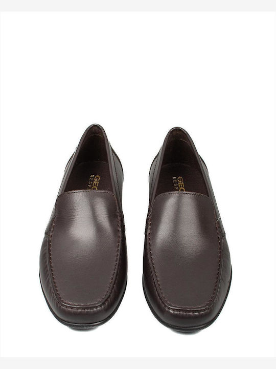 Ascanio Men's Leather Loafers Brown