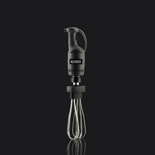 Karni Commercial Hand Blender 350W with Shaft 300mm