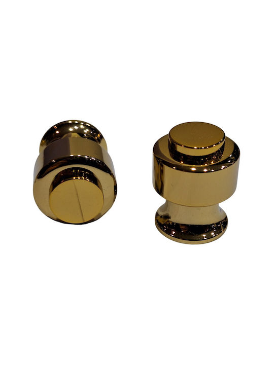 Eurofer Knob Furniture made of Metallic Gold-glossy 11793-000-BRZ2 1pcs