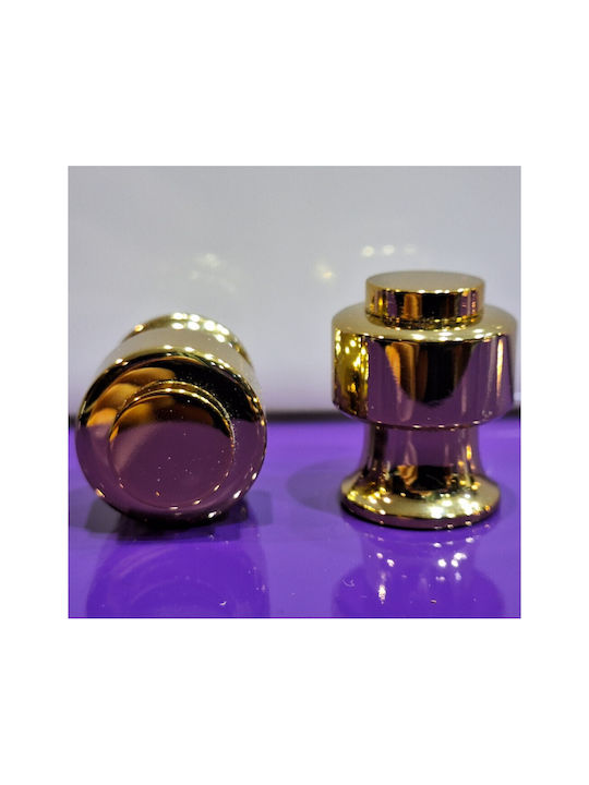 Eurofer Knob Furniture made of Metallic Gold-glossy 11793-000-BRZ2 1pcs